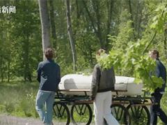實現(xiàn)生命循環(huán)！全球首款“蘑菇做的棺材”在英使用