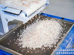 夏季健脾胃、除濕氣，茯苓藥膳用起來(lái)