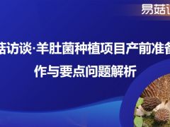 【活動通知】易菇訪談·羊肚菌種植項(xiàng)目產(chǎn)前準(zhǔn)備工作與要點(diǎn)問題解析